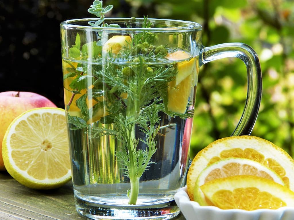 Prevenirea bolilor cu o ceașcă de ceai cu plante aromate și lămâie.